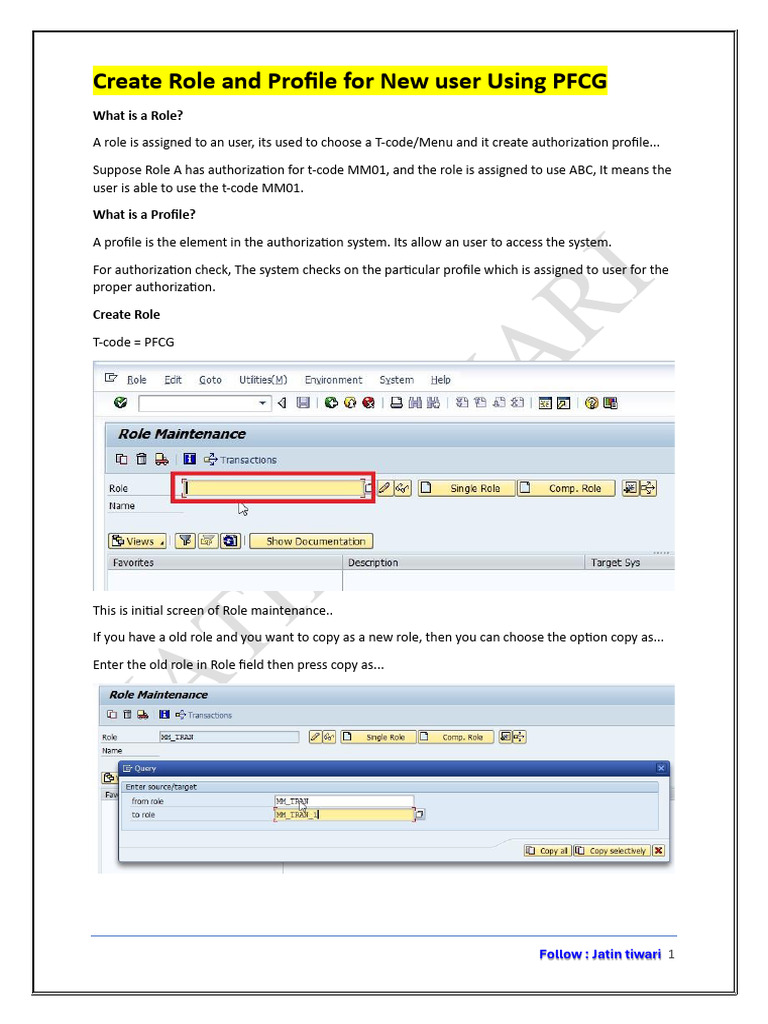 Create User Roles and Profiles in PFCG | PDF | Menu (Computing) | Computing