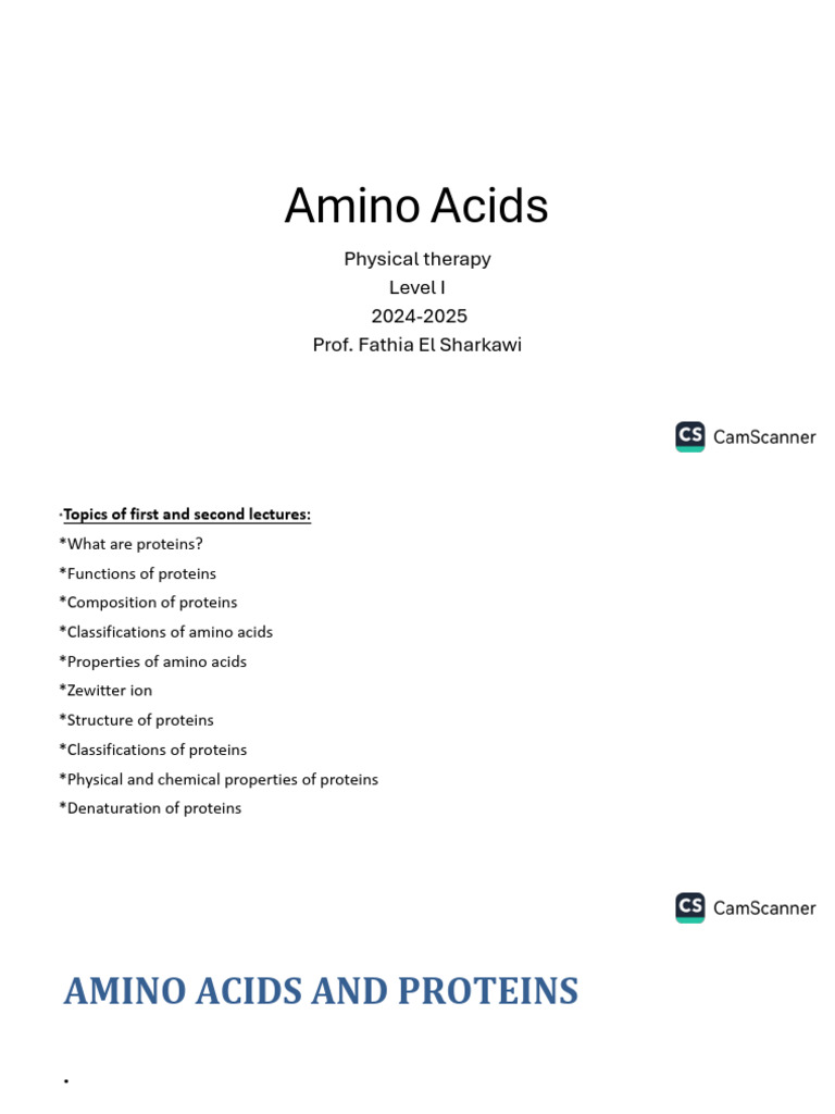 Amino Acids and Protein Structure Overview | PDF | Amino Acid | Proteins