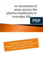 Movement of Substances Across The Plasma Membrane in Everyday Life