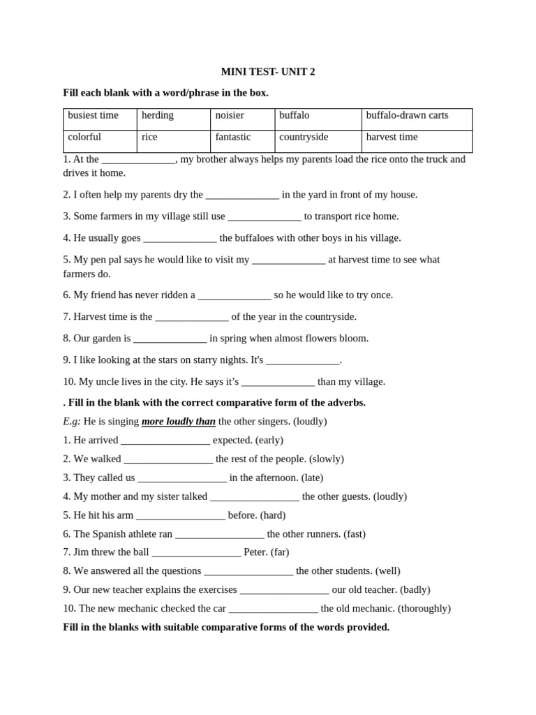 Mini Test on Comparatives and Vocabulary | PDF