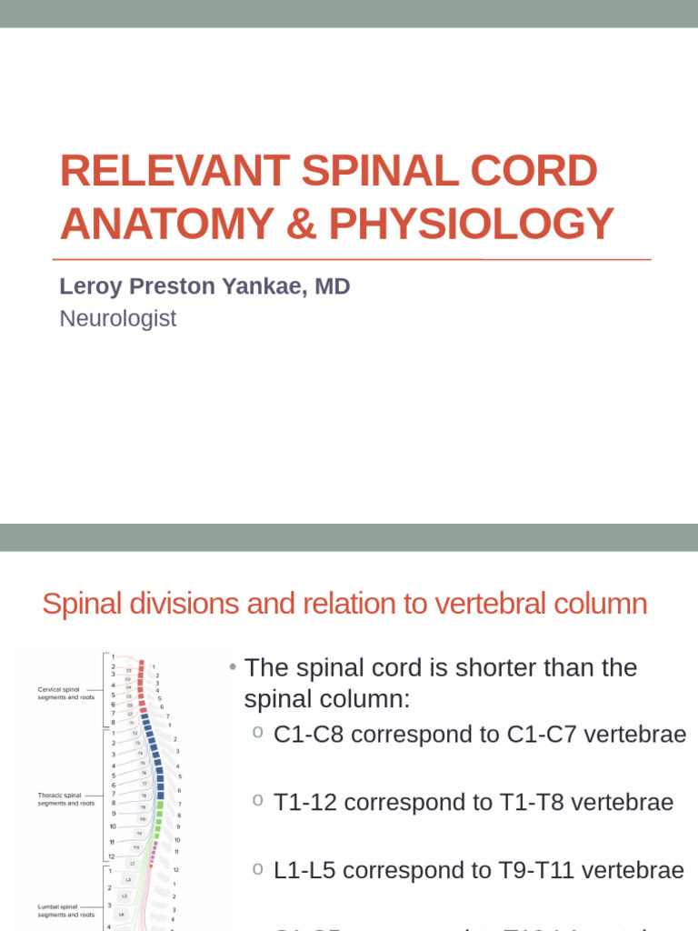 Spinal Cord Anatomy and Function Overview | PDF | Spinal Cord | Motor ...