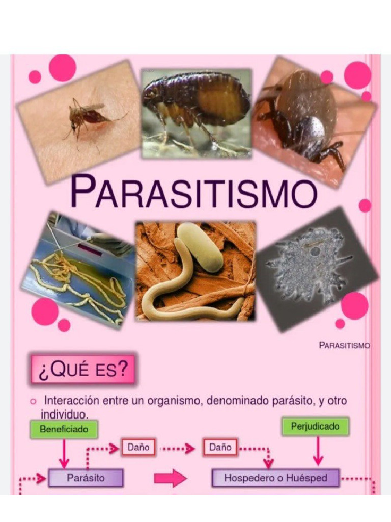 Parasitism o | PDF