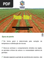 MILHO - Plantio_ Densidade_Espaçamento 2