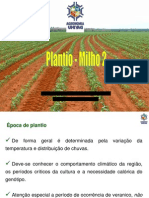 MILHO - Plantio_ Densidade_Espaçamento 2