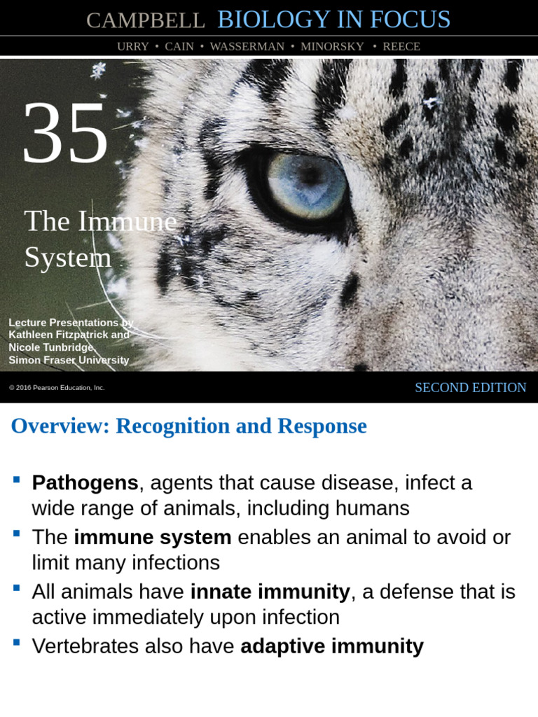 Understanding the Immune System | PDF | Immune System | Cytotoxic T Cell