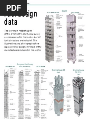 Nuclear Reactor Engineering: Reactor Design Basics (Samuel