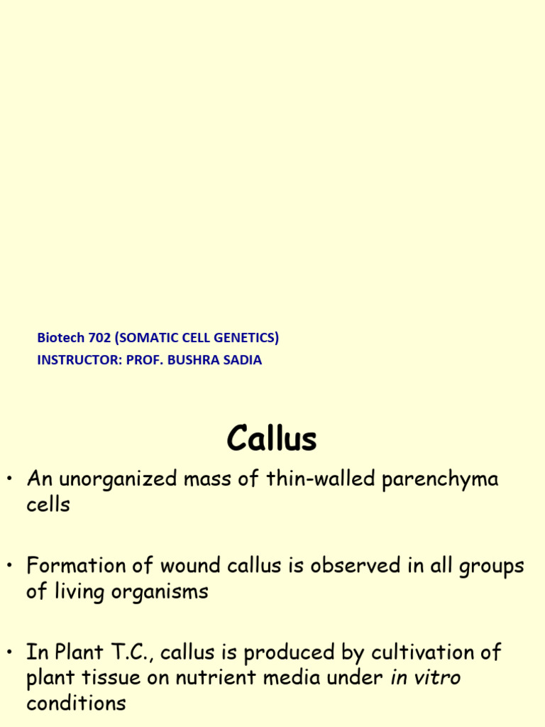 Callus and Cell Suspension Cultures Guide | PDF | Cell Biology ...