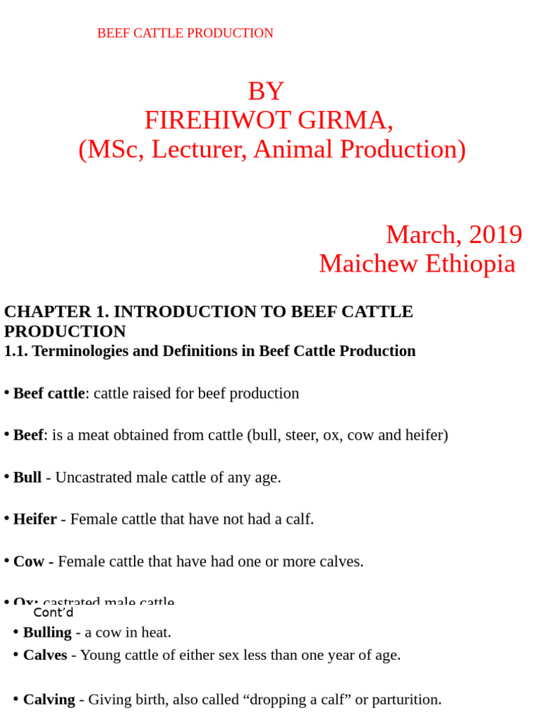 Beef Cattle Production in Ethiopia | PDF | Cattle | Ethnobiology