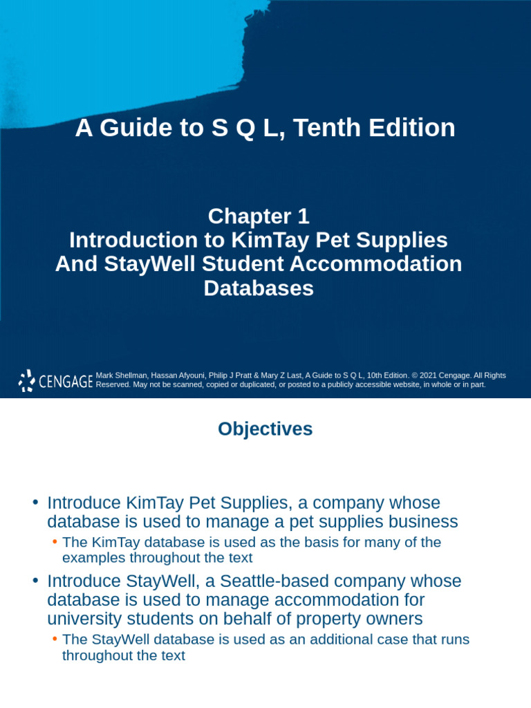 SQL Database Guide for Pet Supplies | PDF | Information Science | Computing