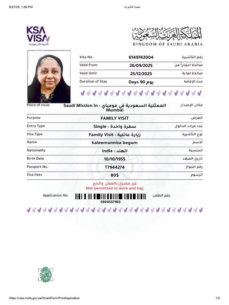 E Visa | PDF