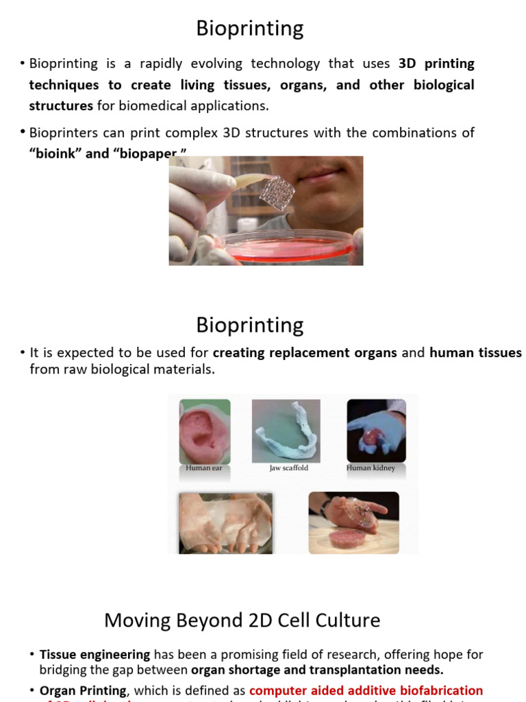 Bioprinting Artifical Skin and Cornea | PDF | Cornea | Tissue Engineering