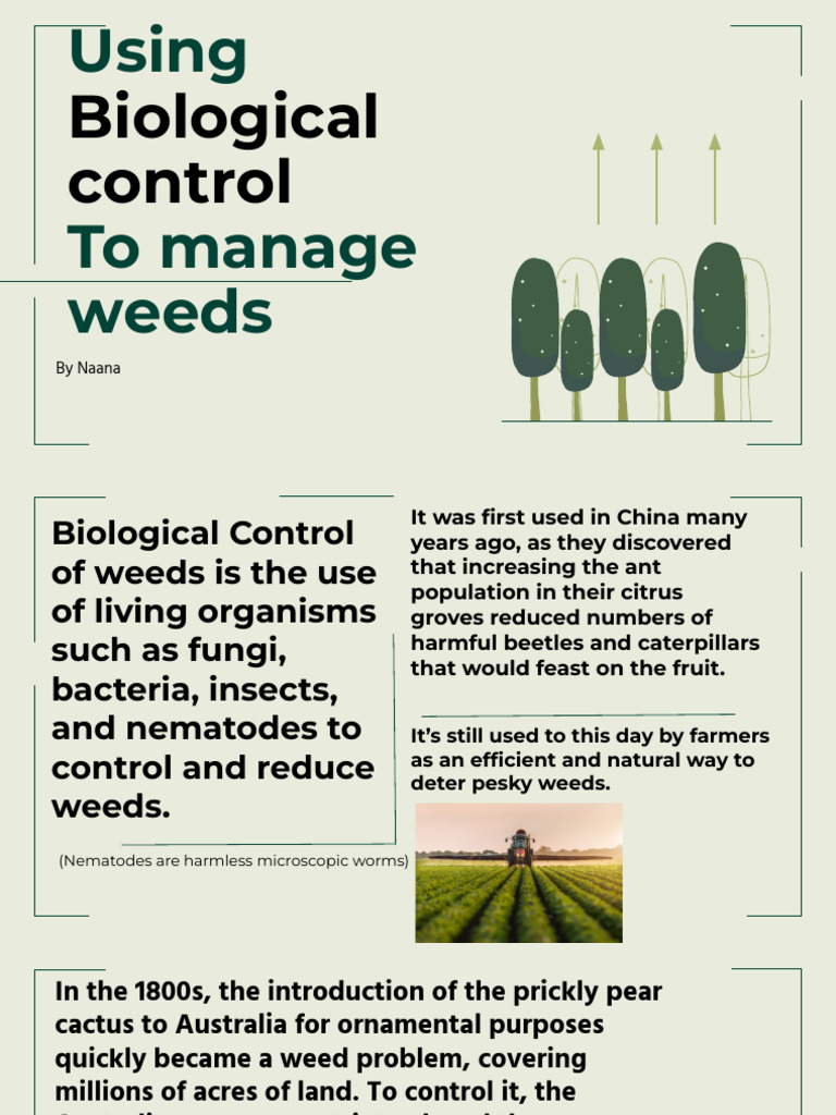 Biological Control of Weeds Explained | PDF