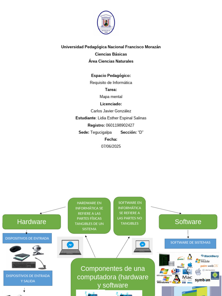 Mapa Mental sobre Hardware y Software | PDF