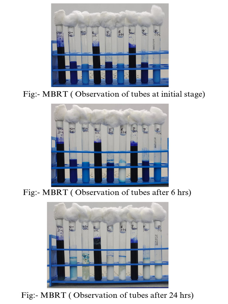 MBRT Test PDF | PDF
