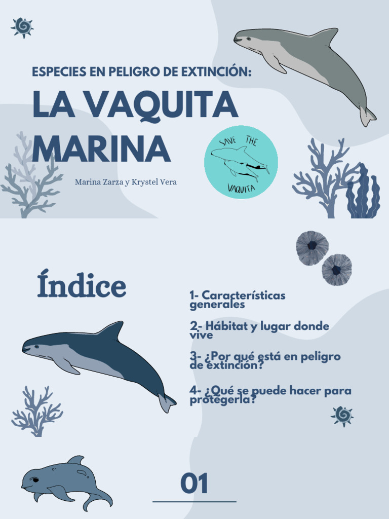La Vaquita Marina | PDF