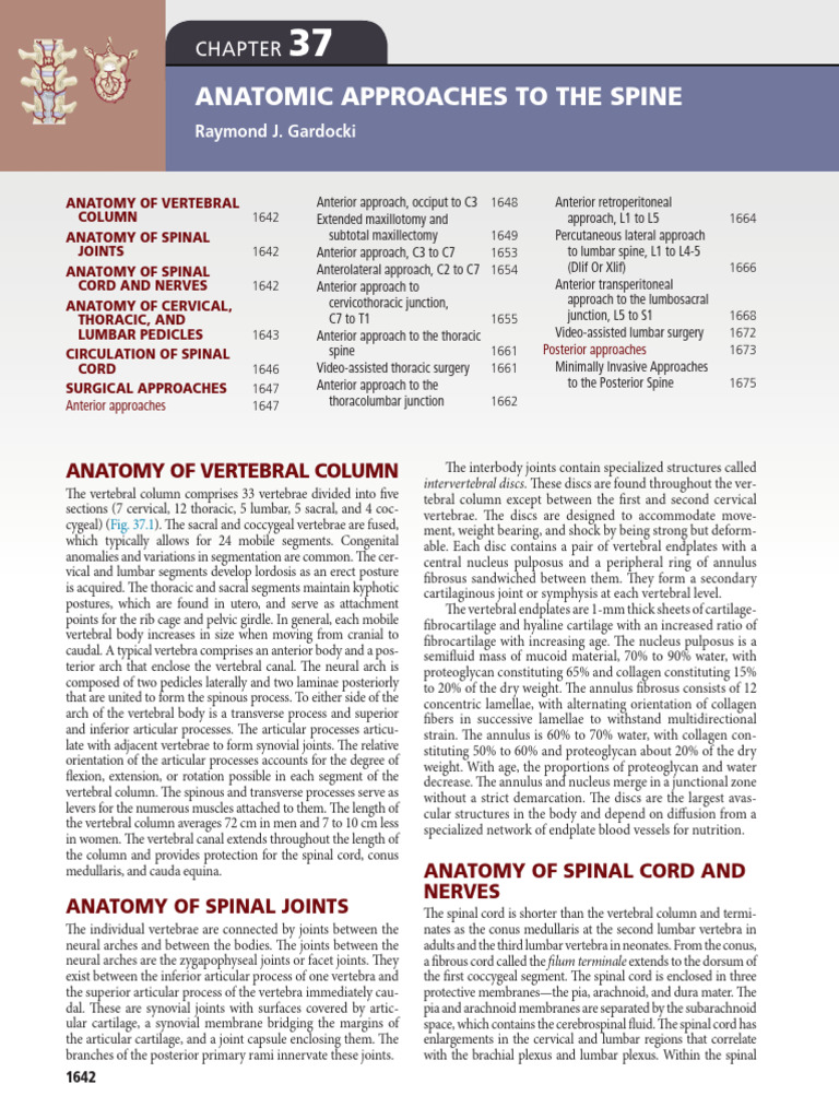 Anatomy of the Vertebral Column | PDF | Vertebra | Spinal Cord
