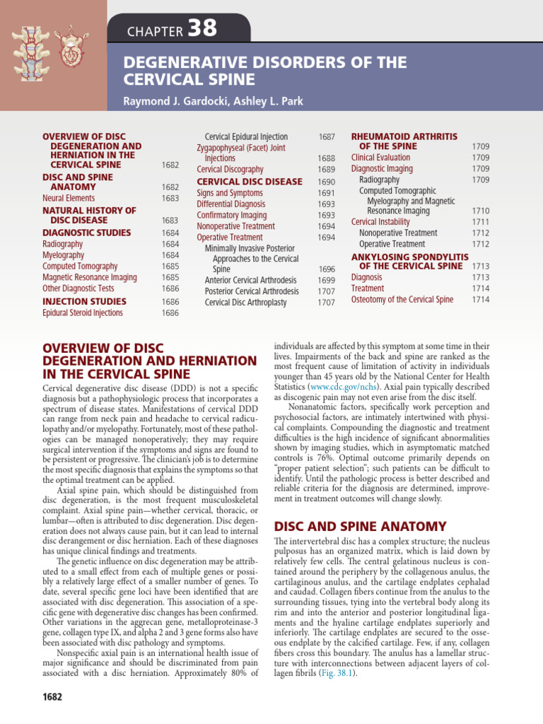 Art-Labeling for Cervical Disc Disease | PDF | Vertebra | Medical ...