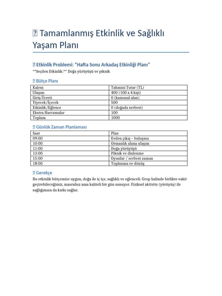 Tamamlanmis Etkinlik Yasam Plani Pdf