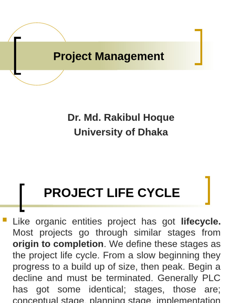 Project Life Cycle in Management | PDF | Project Management