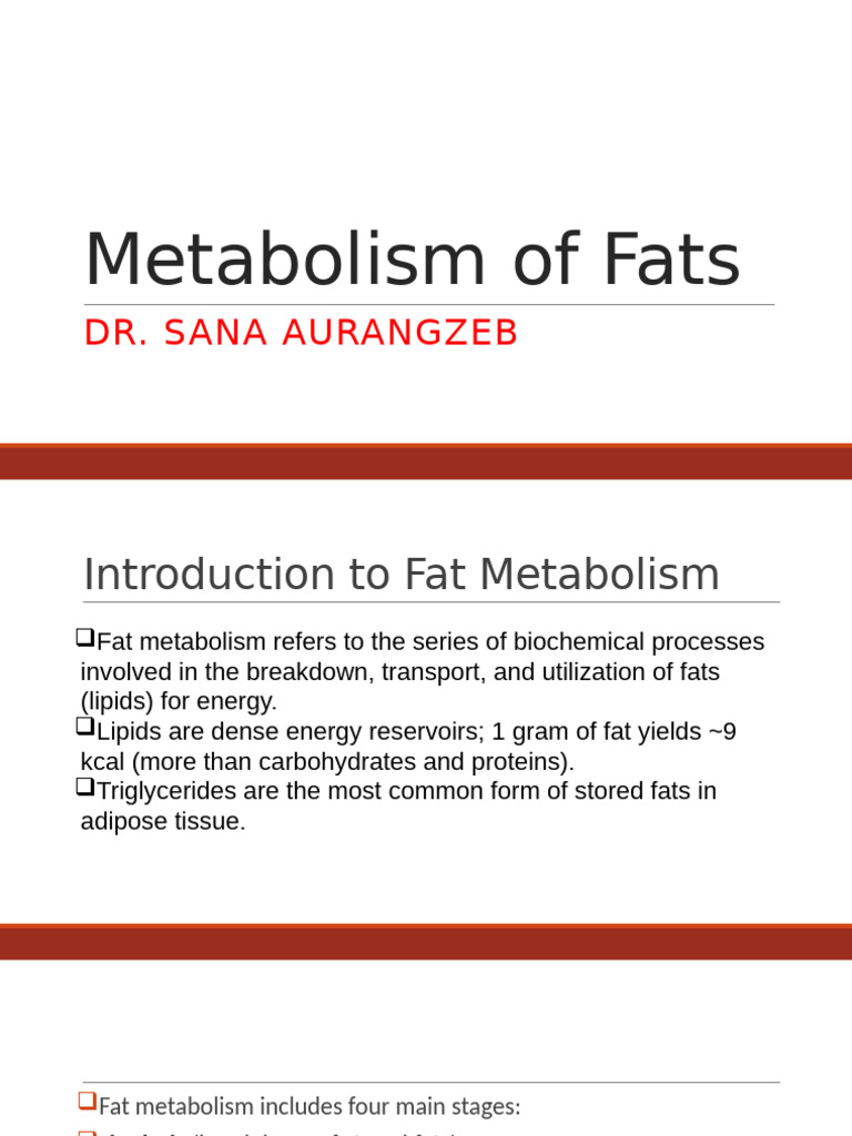 Understanding Fat Metabolism Processes | PDF | Adenosine Triphosphate ...