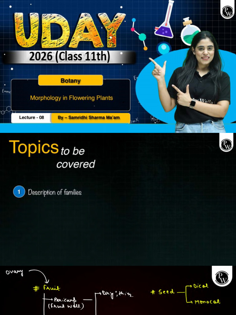 Morphology of Flowering Plants 08 - Class Notes | PDF