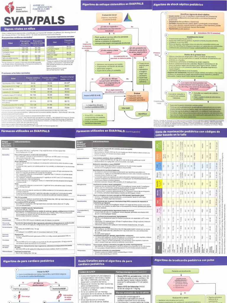 Tarjeta PALS Completa | PDF