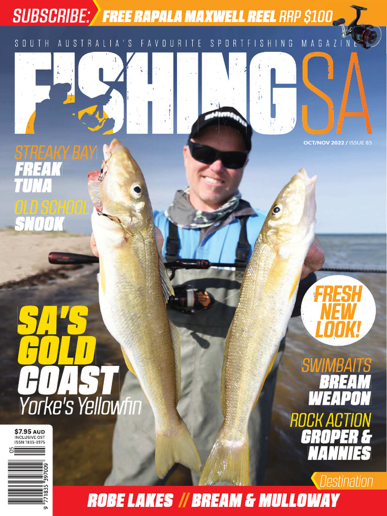 South Australia Fishing Insights 85 | PDF | Beach | Coast