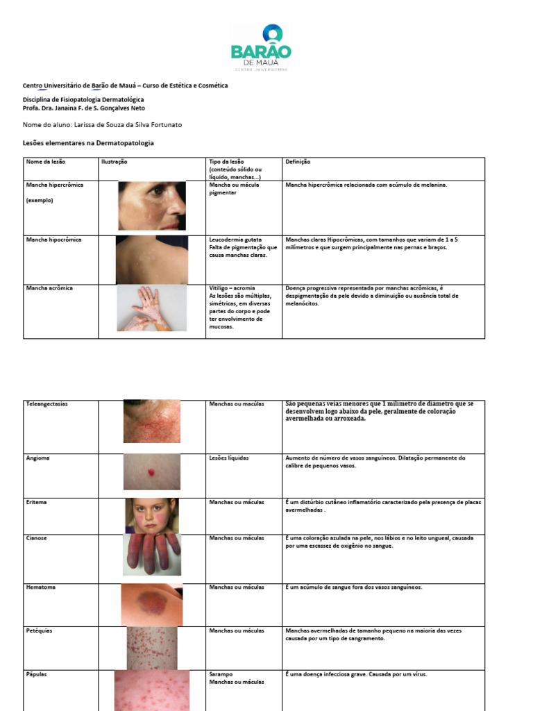 Lesões Dermatológicas: Tipos e Definições | PDF | Pele | Especialidades ...