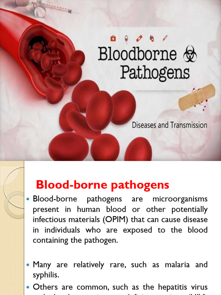 Blood-Borne Pathogens Final | PDF | Hepatitis B | Hepatitis C