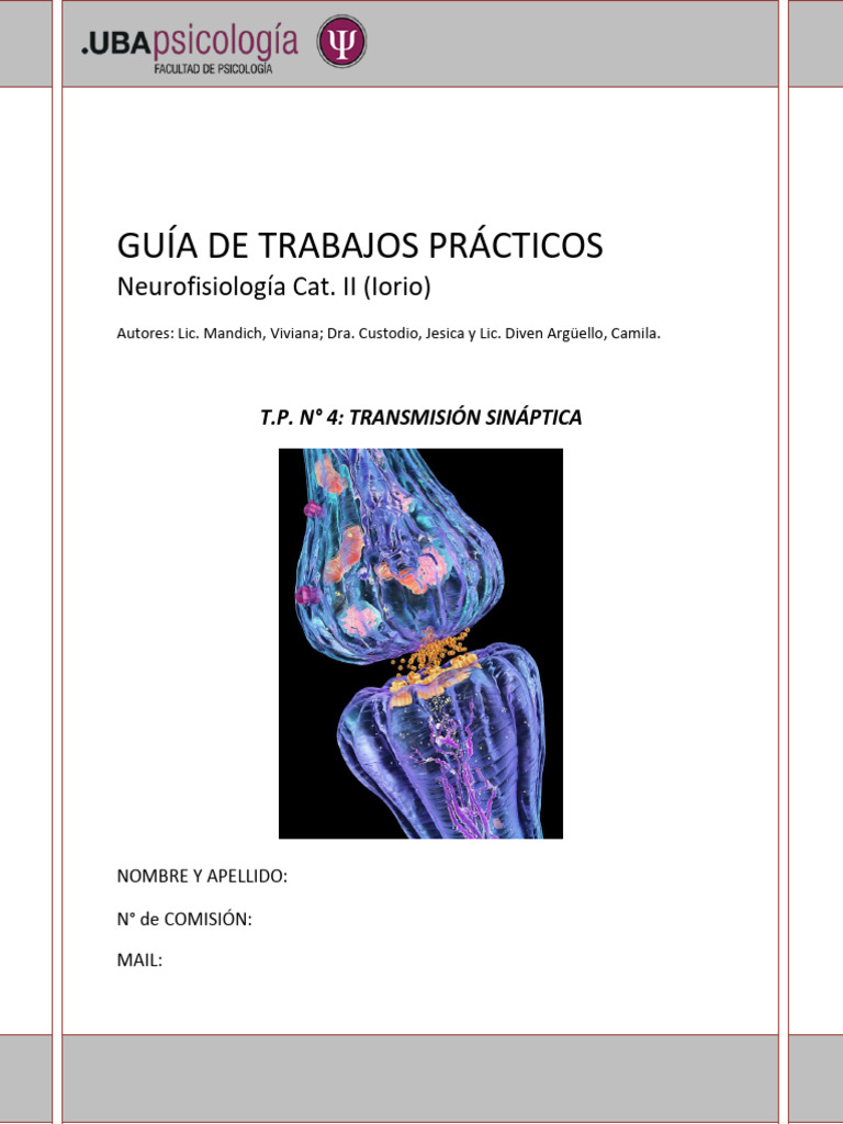 Guía TP N 4 Transmisión Sináptica | PDF | Sinapsis | Neurotransmisor