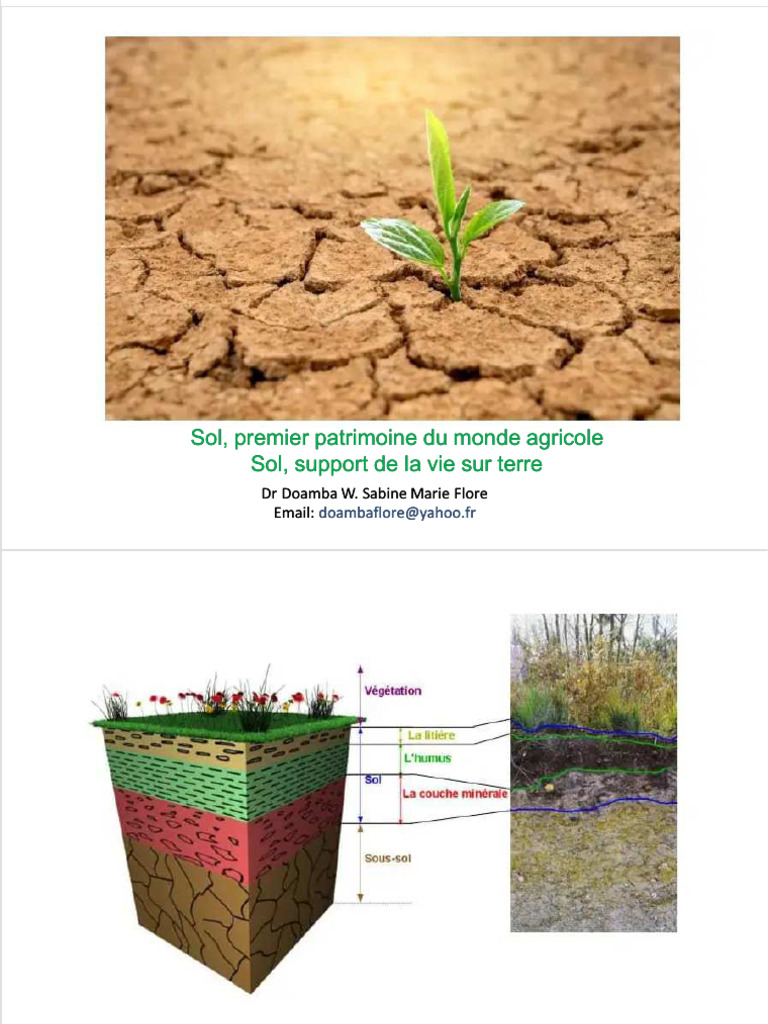 Comprendre les sols et leur importance | PDF | Sol (pédologie) | Limon