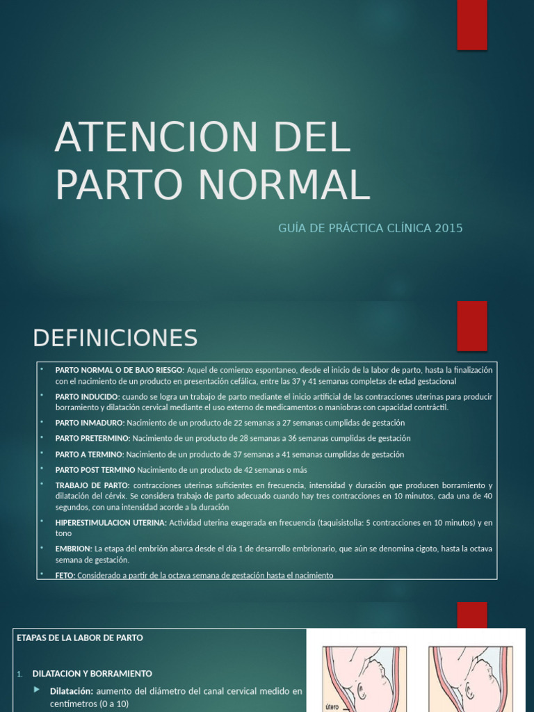 Atencion Del Parto Norma Completa - 040239 | PDF | Parto | La salud de ...