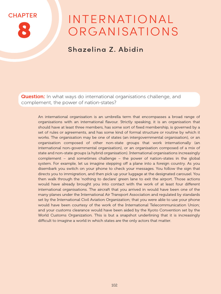 Role of International Organisations Explained | PDF | United Nations ...