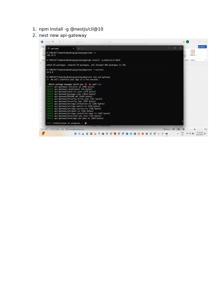 NPM Install | PDF