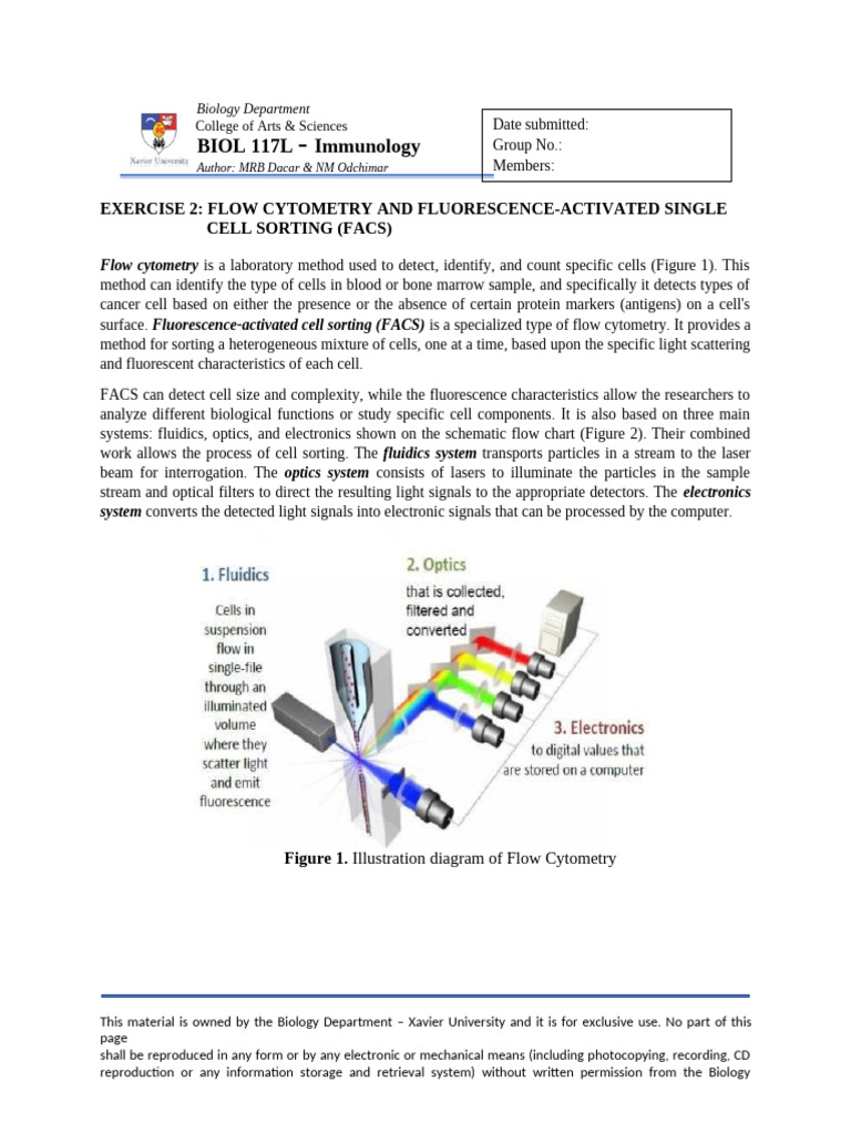 Flow Cytometry and FACS Overview | PDF | Flow Cytometry | Laboratories