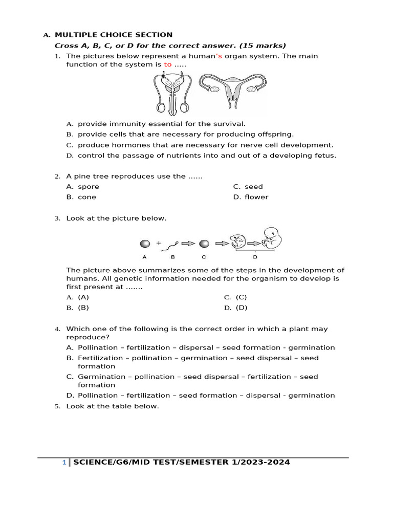 g6 Science Mid Test s1 2023-2024 | PDF | Fertilisation | Seed