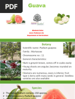 Guapple Cultivation Guide and Benefits | PDF | Legume | Grafting