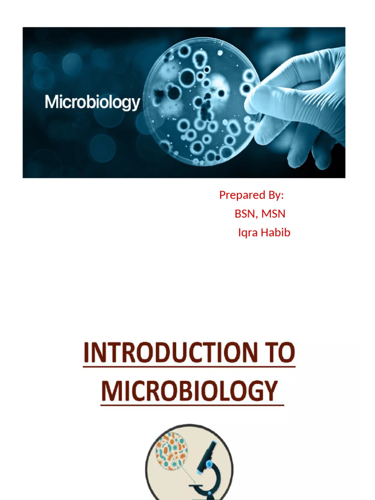 Unit 1 Micro | PDF