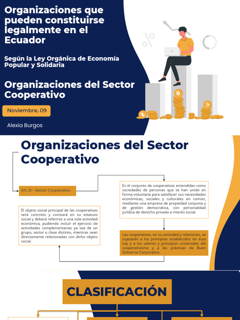 Tipos de Organizaciones en Ecuador | PDF | Cooperativa | Impuesto sobre ...