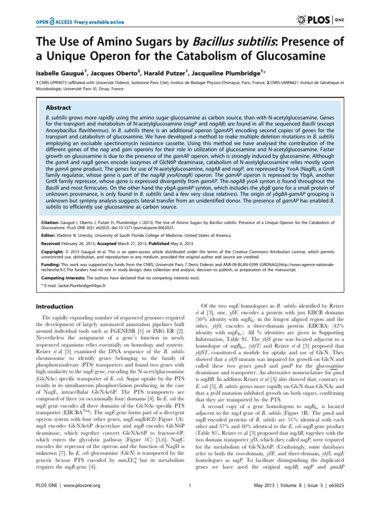 The Use of Amino Sugars by Bacillus Subtilis Prese | PDF | Gene | Plasmid
