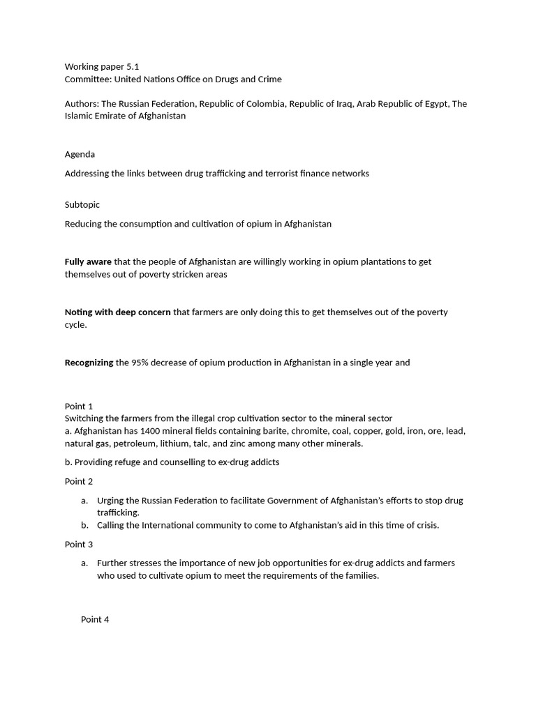 Working Paper 5 | PDF