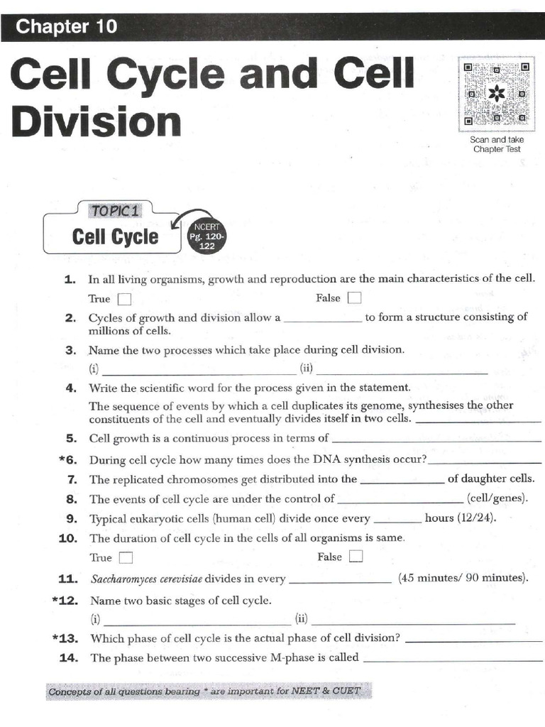 Cell Cycle and Cell Division PDF | PDF