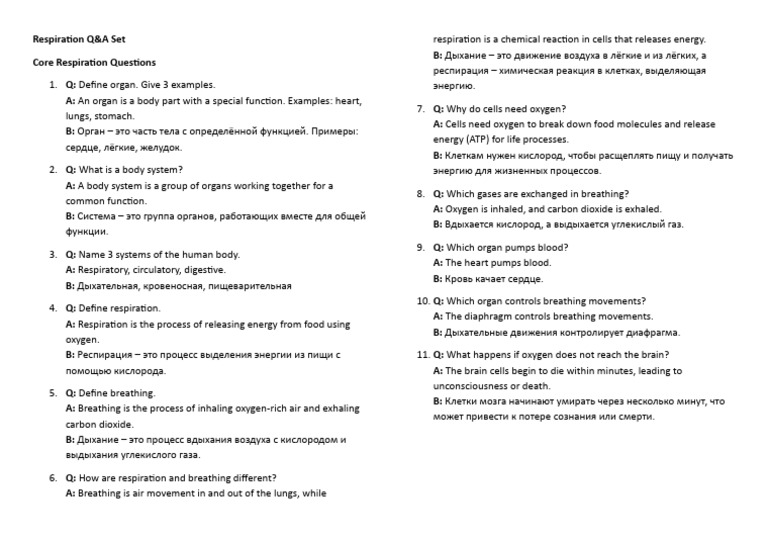 Respiration Questions 1 | PDF
