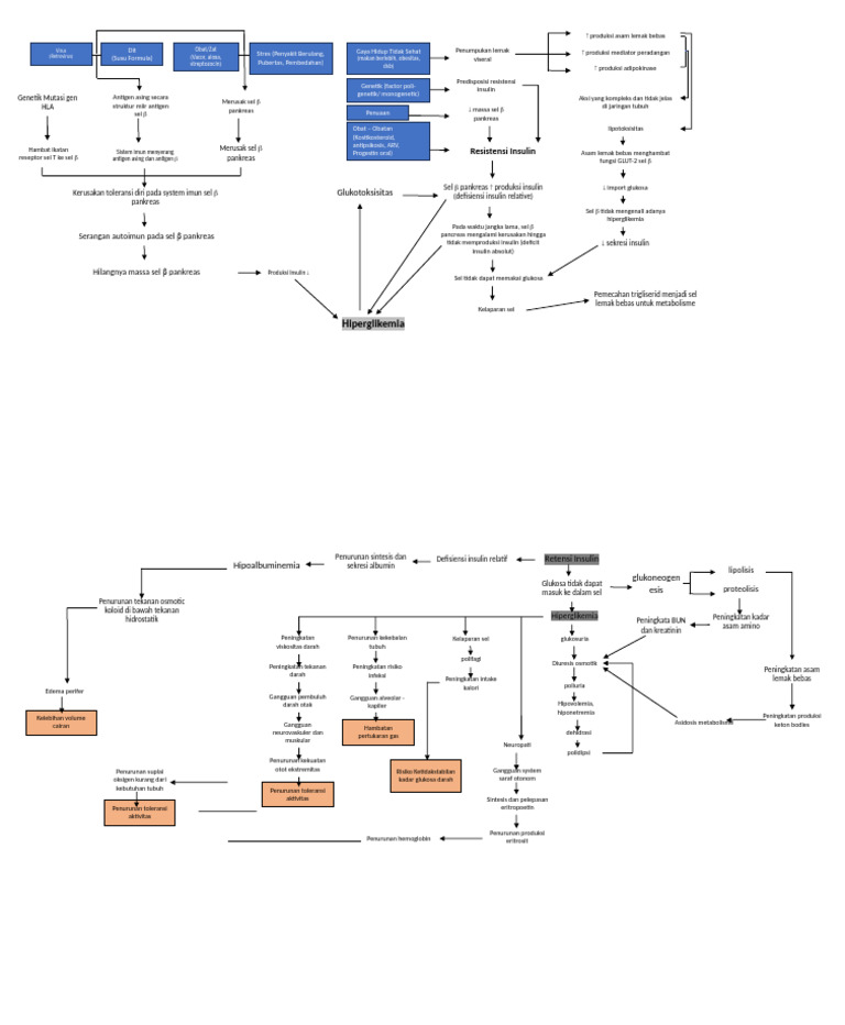 Woc DM | PDF