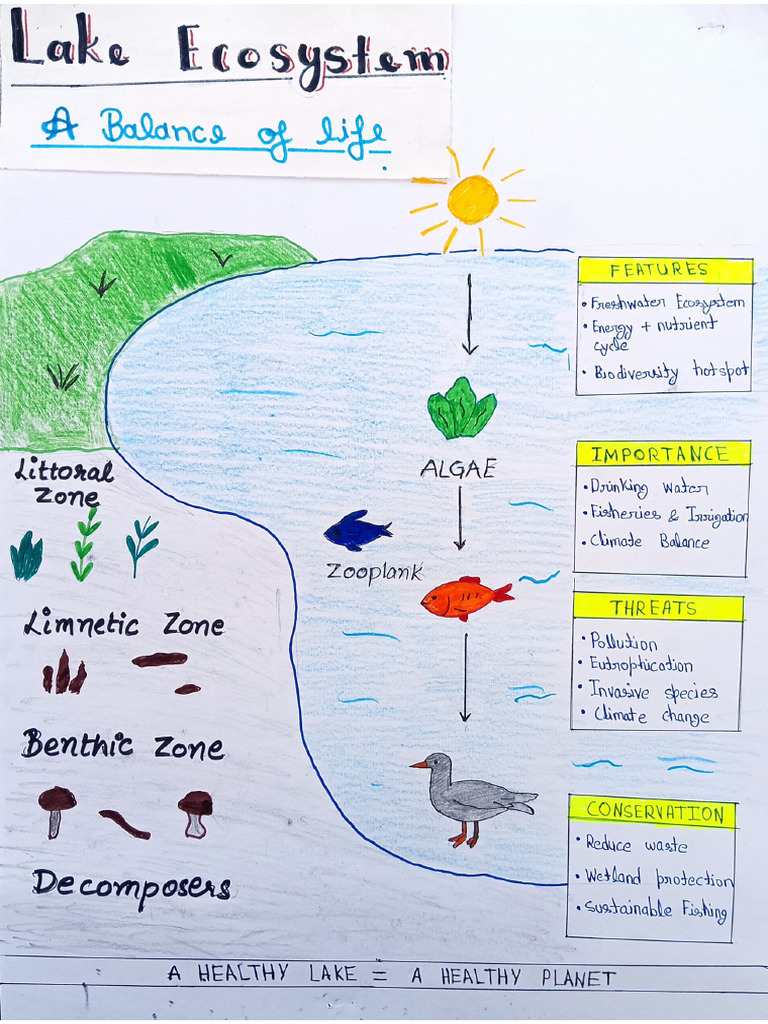 Lake Ecosystem | PDF
