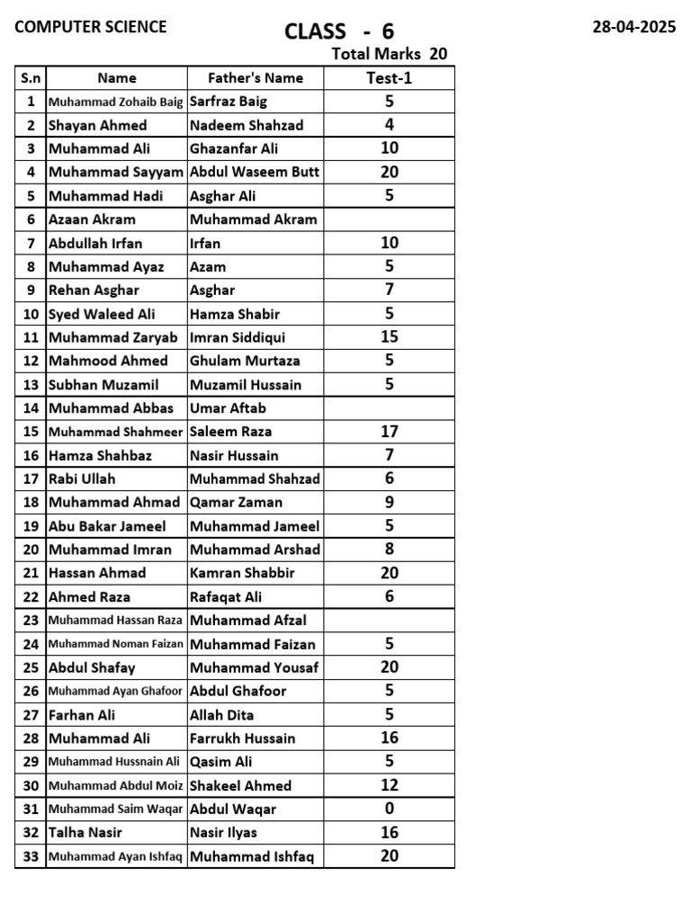 Class 6 Computer Science Test Scores | PDF