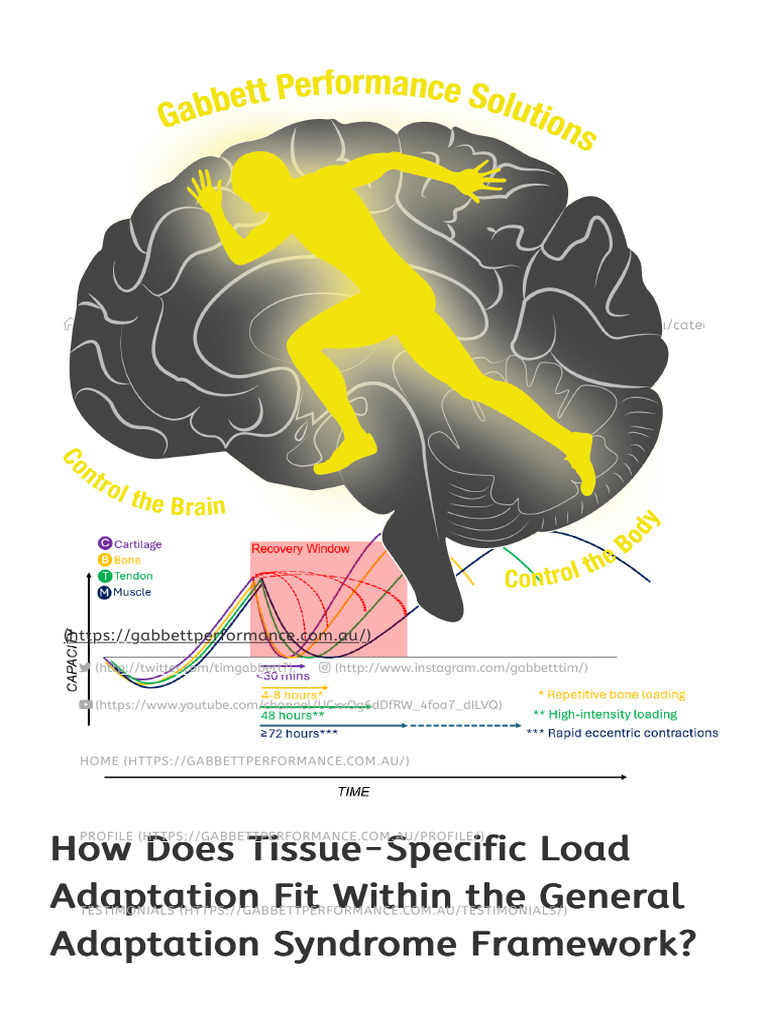 How Does Tissue-Specific Load Adaptation Fit Within The General ...