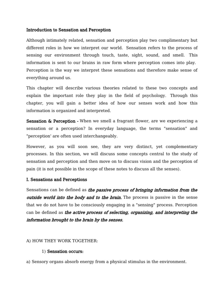 Understanding Sensation and Perception | PDF | Perception | Senses