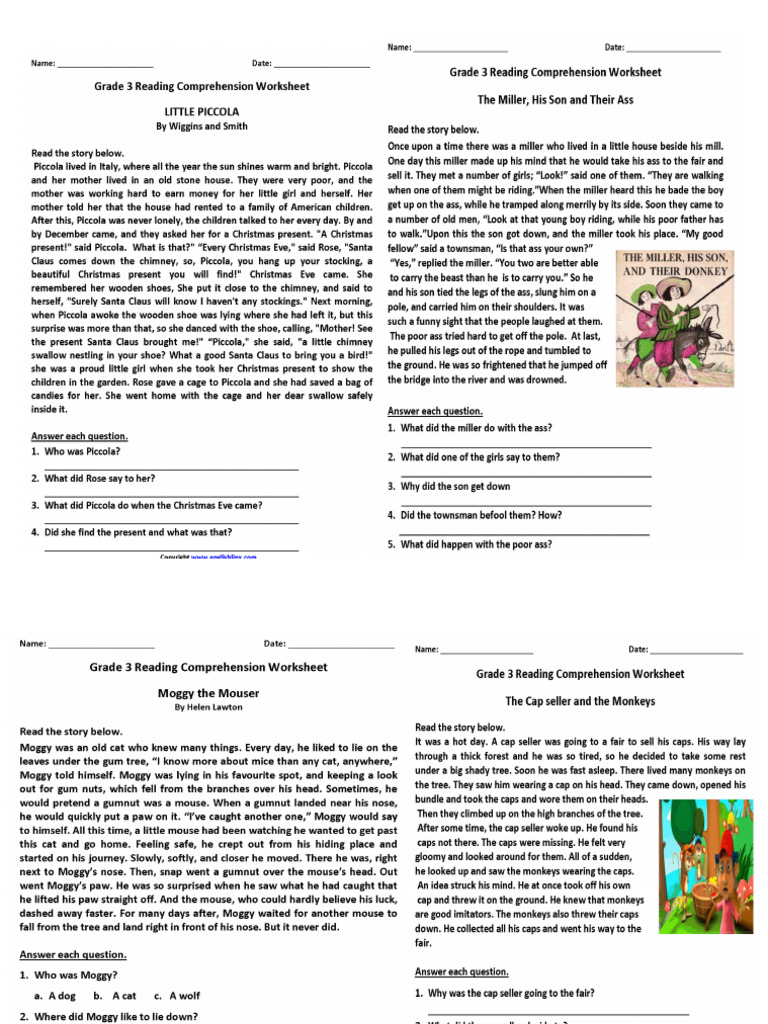 Reading Comprehension | PDF