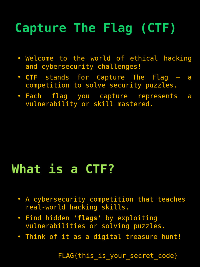 Capture The Flag: Cybersecurity Skills Guide | PDF